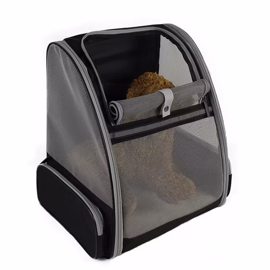 Pet Products Going out Portable Dog Foldable Panoramic Breathable Large Capacity Double Shoulder Cat Pet Bag