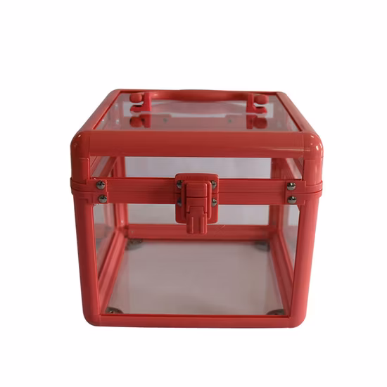 New Design Plastic Frame Clear Acrylic Vanity Case Cosmetic Makeup Case