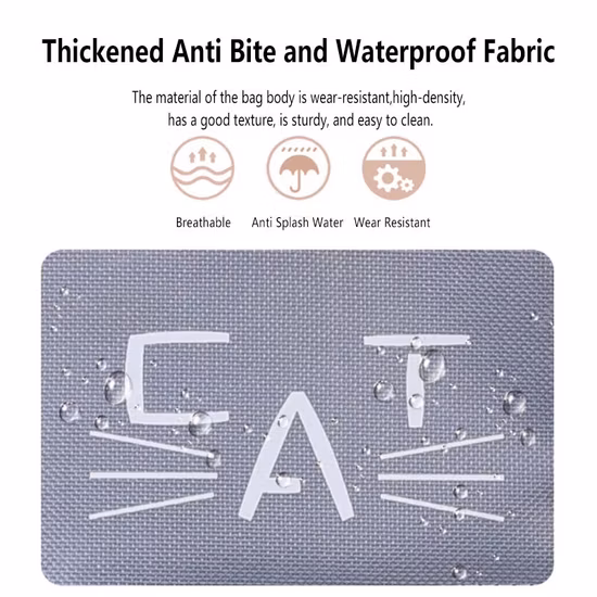 2023 Pet Backpack with Touching Window Pet Carrier